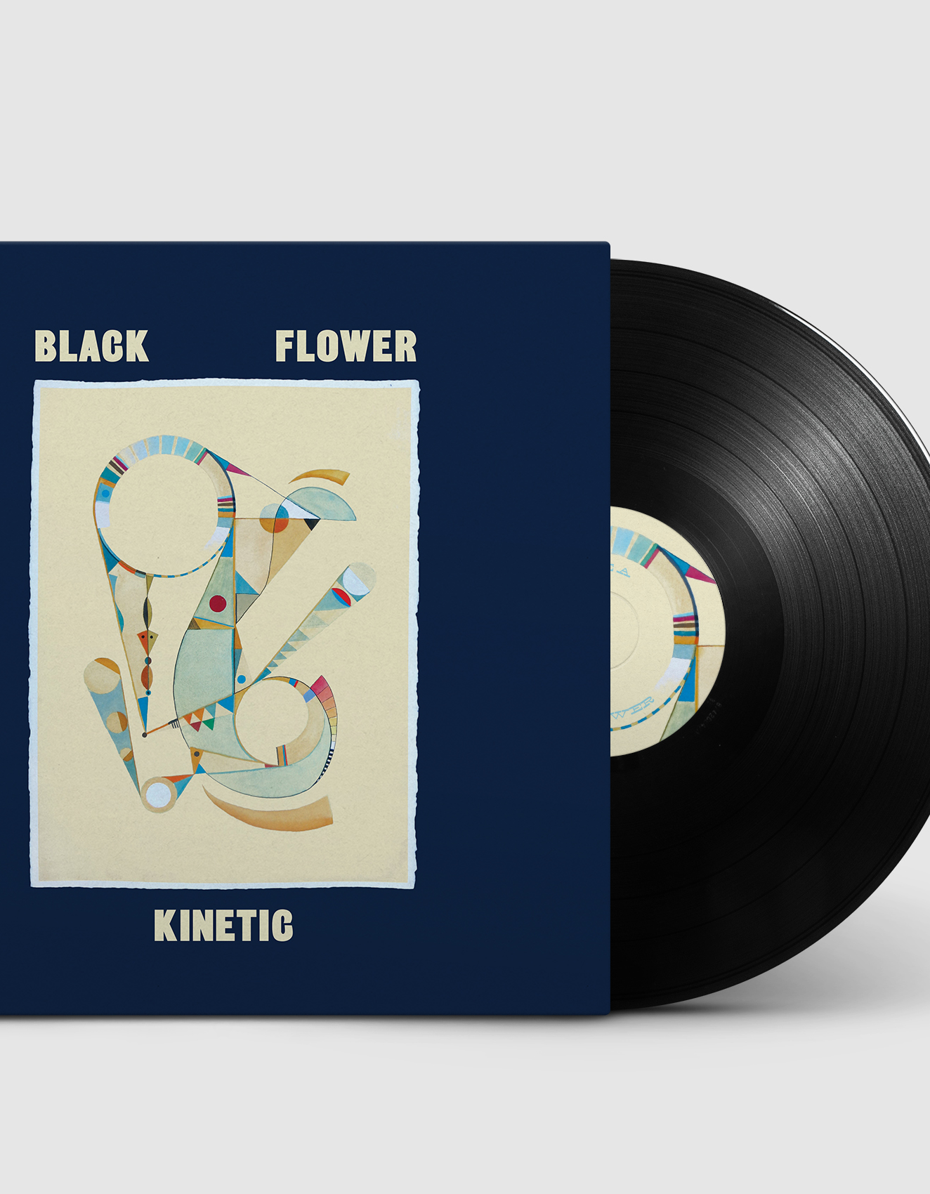 Vinyl record album showcasing N.E.W.S. Distribution case study