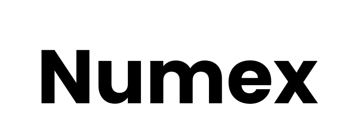 Numex Business Central integration partner